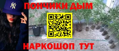 прущие крисы Новозыбков
