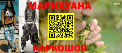 прущие крисы Новозыбков